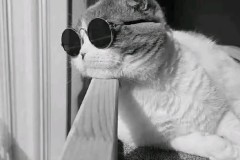 滕哈赫又陷争议！德国媒体爆出重磅消息：从曼联到德甲，下课不冤